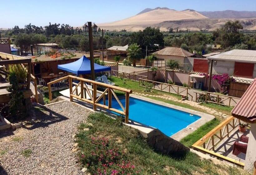 Апартаменты 1 Спальня с Террасой, Cabañas Terrazas De Olivos