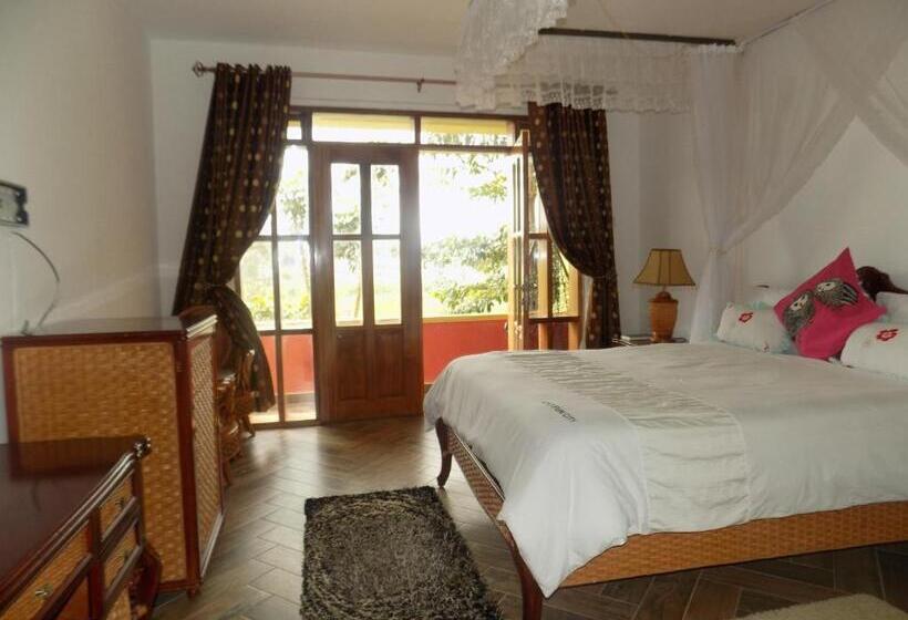 Deluxe Room, Fort Fun City