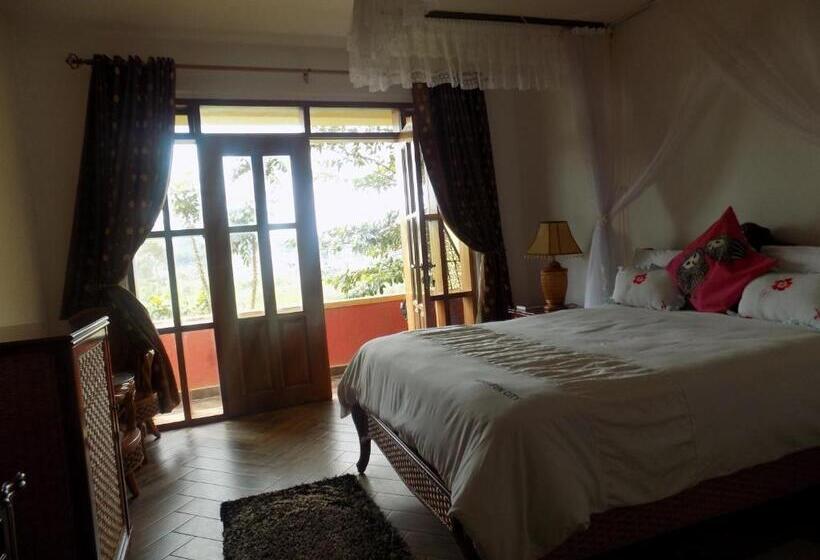Deluxe Room, Fort Fun City