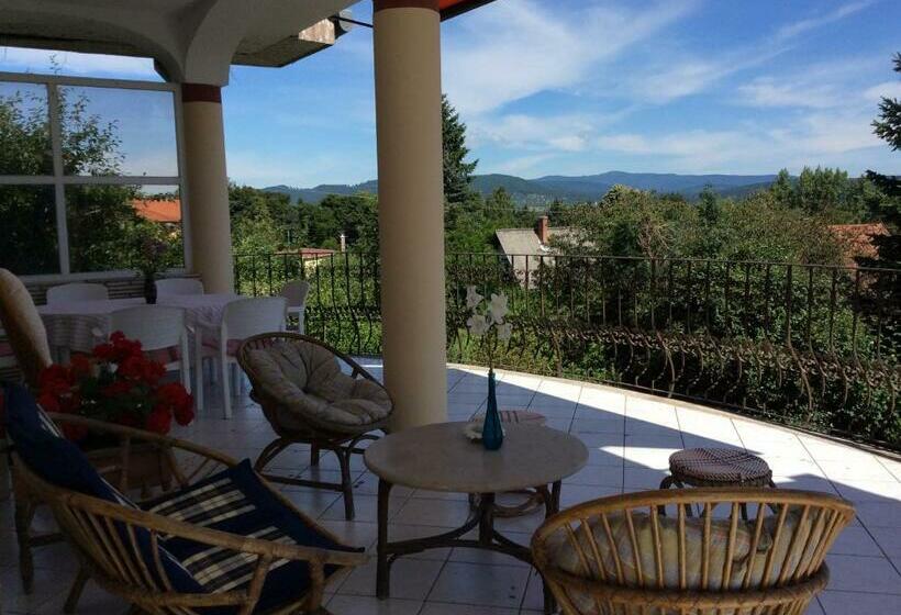 Номер Стандарт, Villa Kalman Pansio