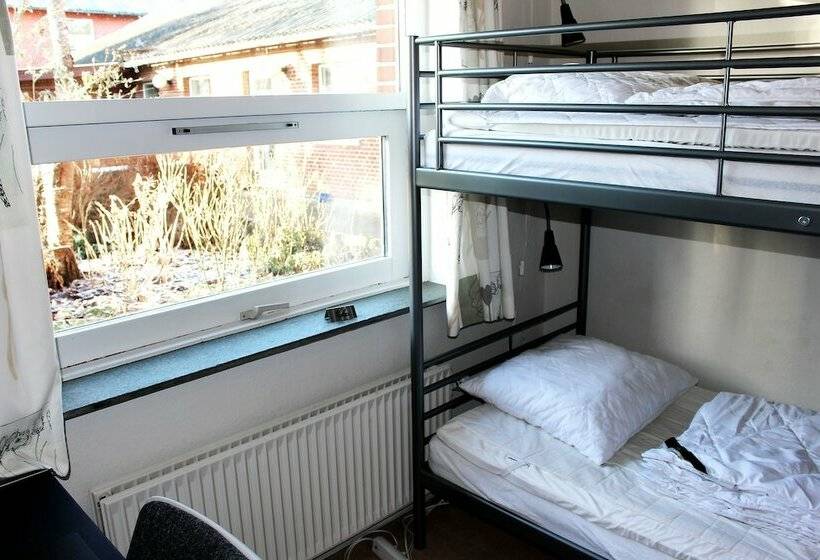 غرفة قياسية, Aarhus Hostel Og