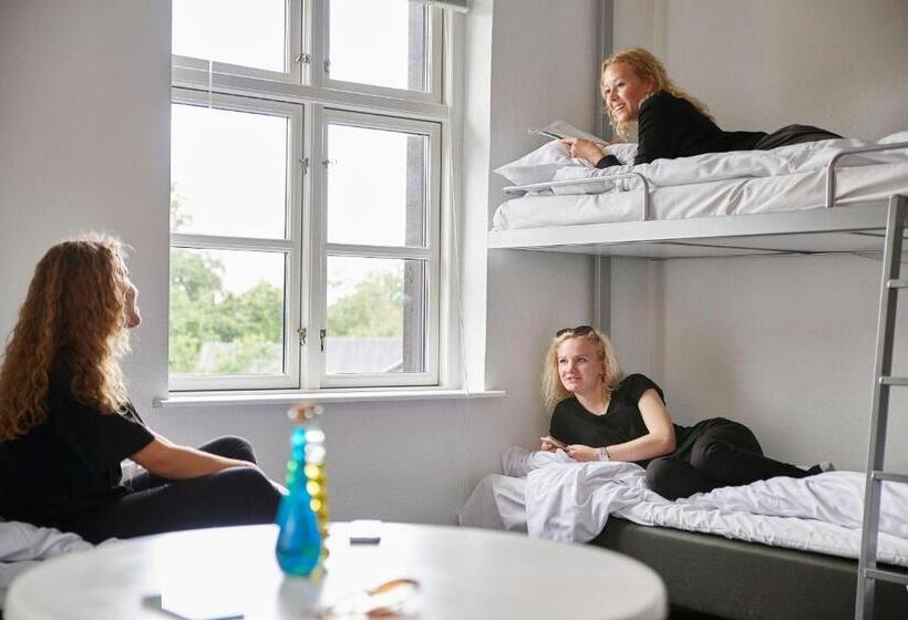 غرفة قياسية ثلاثية, Danhostel Haderslev