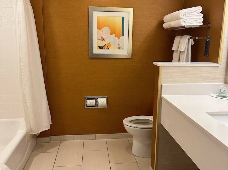 Люкс, Fairfield Inn & Suites By Marriott Hollister