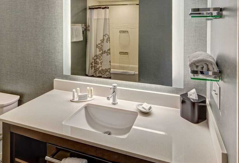 Люкс Адаптированный для Инвалидов, Residence Inn By Marriott Blacksburg University