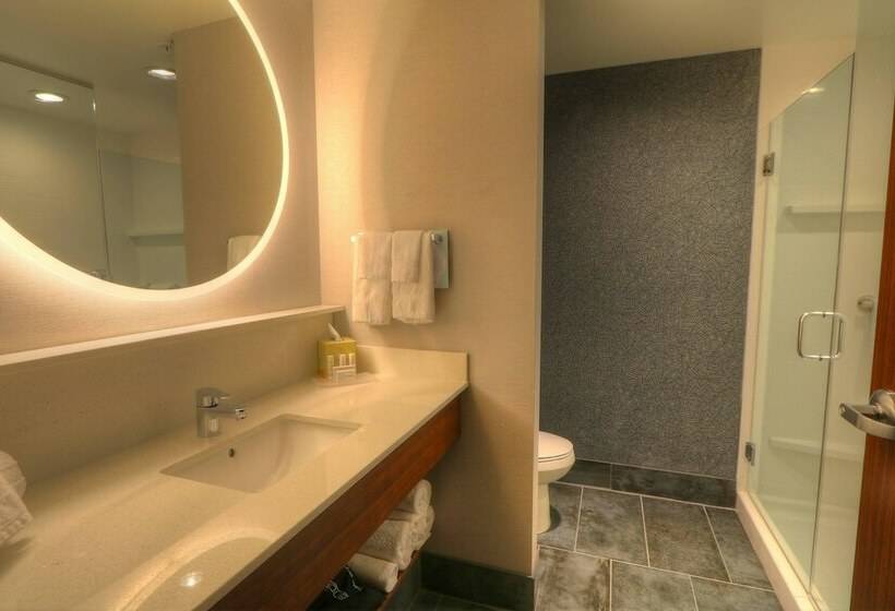 Suite, Fairfield Inn & Suites By Marriott Gatlinburg Downtown
