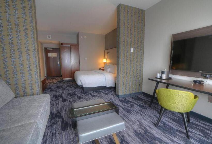 Suite Łóżko King Size, Fairfield Inn & Suites By Marriott Gatlinburg Downtown