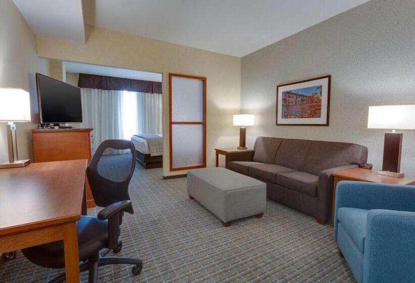 Номер Superior, Drury Plaza Hotel St. Louis St. Charles