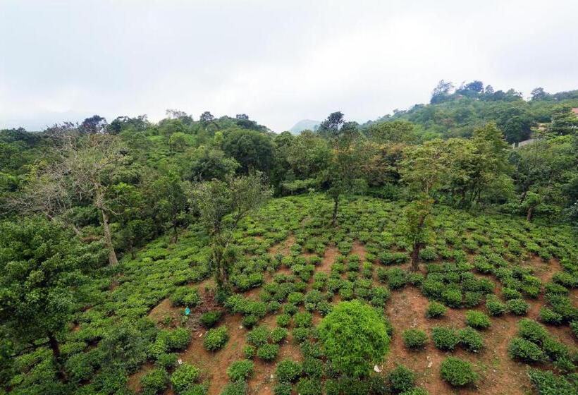 침실 2개 아파트, Chillax Vagamon