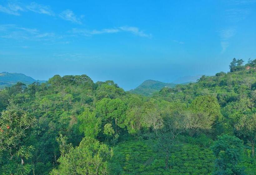 4인용 스탠다드 룸, Chillax Vagamon