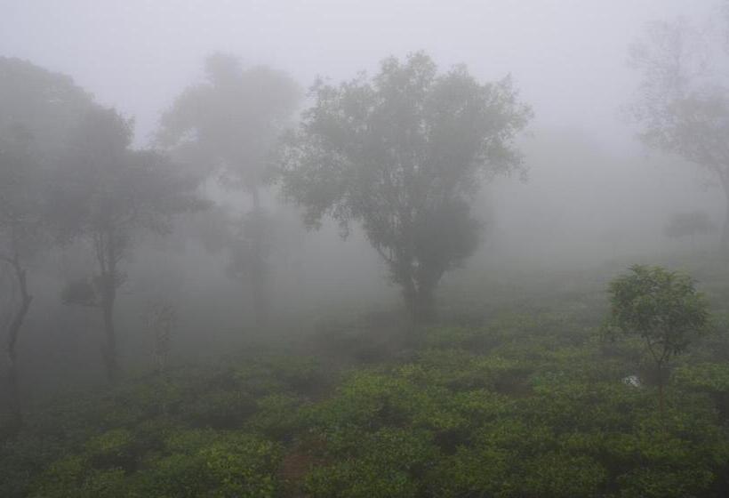 수피리어 룸, Chillax Vagamon