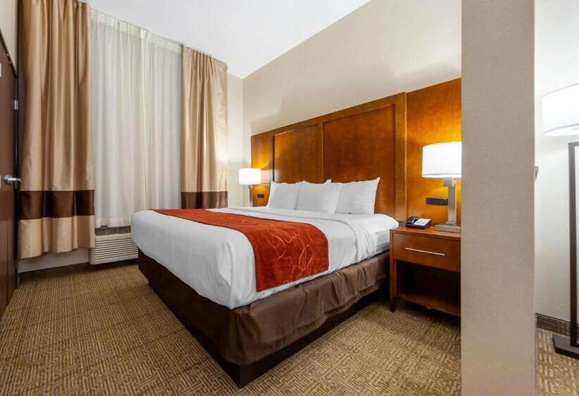 스위트 킹사이즈 침대, Comfort Suites