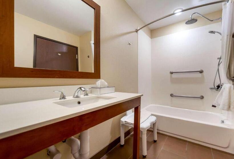 장애인을 위한 스위트, Comfort Suites