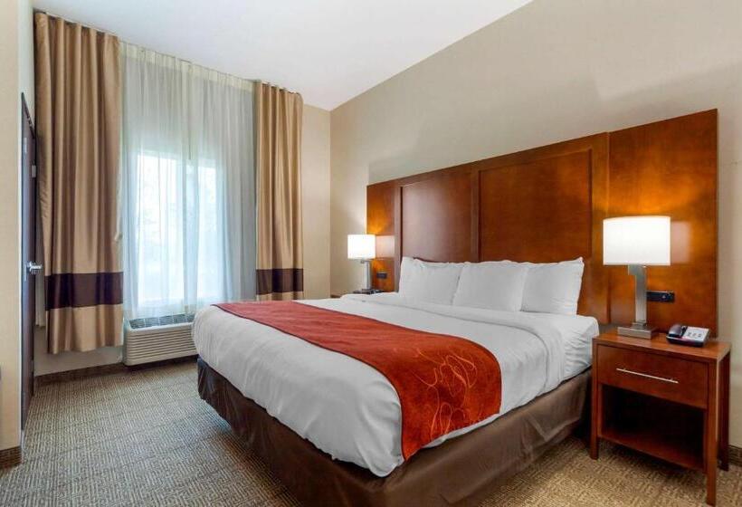 스위트 킹사이즈 침대, Comfort Suites
