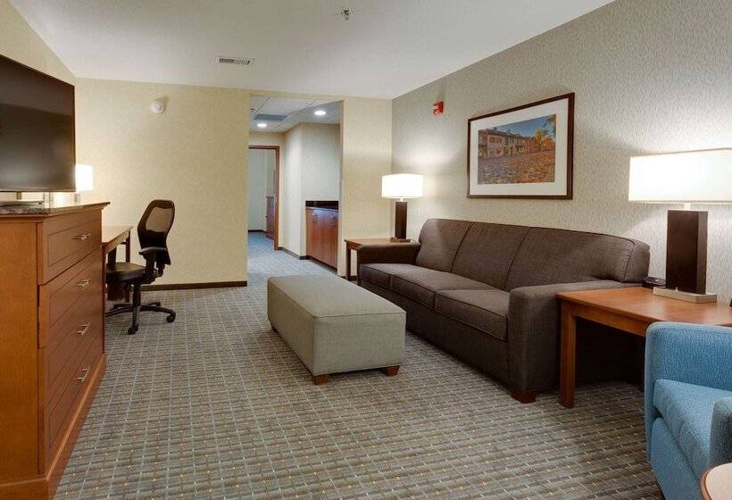 Люкс Адаптированный для Инвалидов, Drury Plaza Hotel St. Louis St. Charles