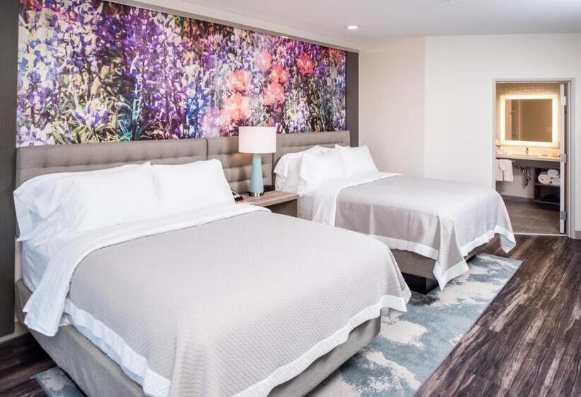 标准间, Indigo   Frisco, An Ihg