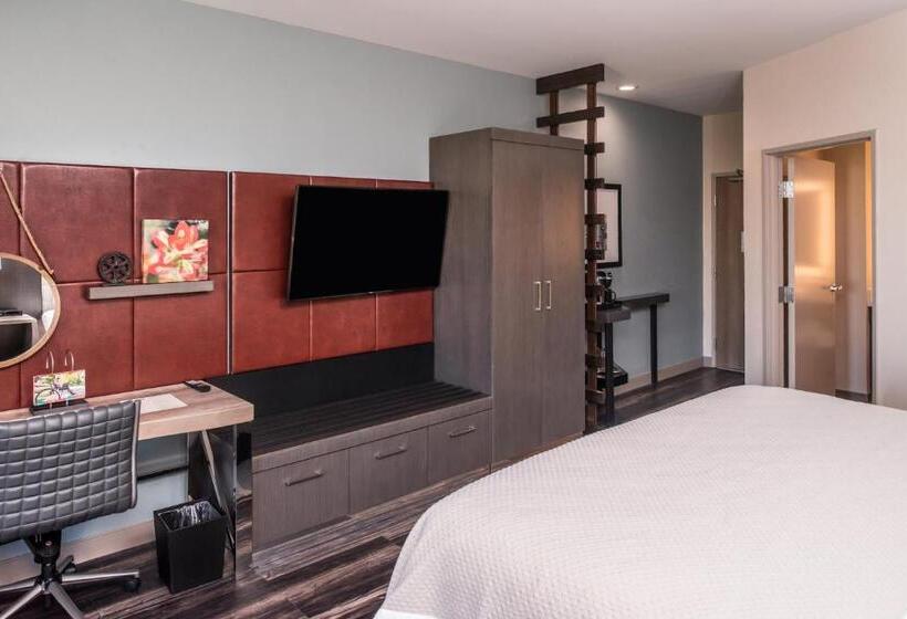 带大床的套房, Indigo   Frisco, An Ihg