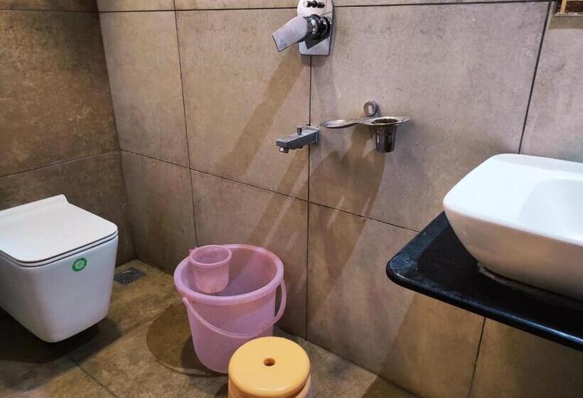 Номер Deluxe, Manasi Inn