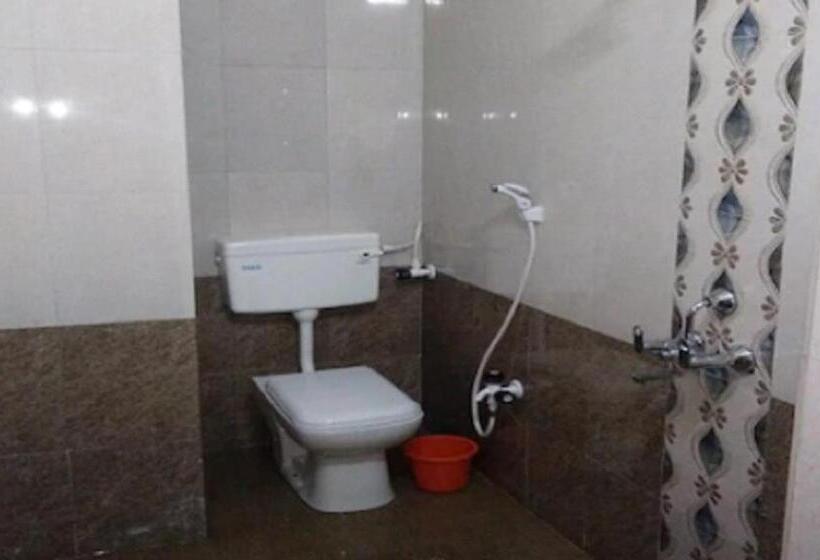 Номер Стандарт, Manasi Inn