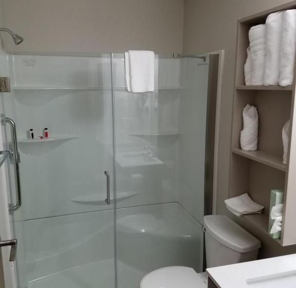 Номер Стандарт, Microtel Inn & Suites By Wyndham Niagara Falls