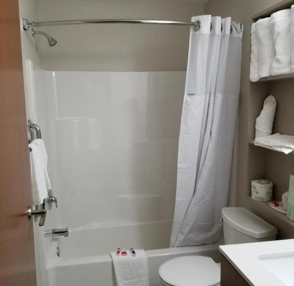 Номер Стандарт, Microtel Inn & Suites By Wyndham Niagara Falls