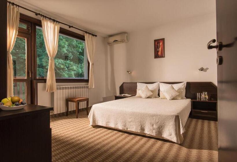 Номер Стандарт Вид на Горы, Family Hotel Bile