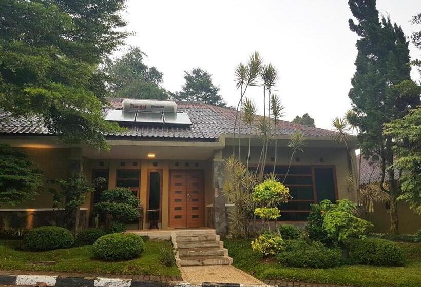 Вилла 3 Спальни с Бассейном, Gracia Spa Resort