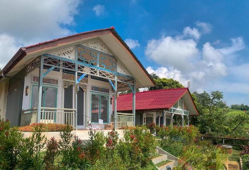 Номер Стандарт, Gracia Spa Resort