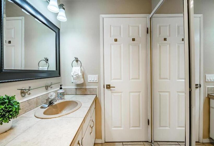 1 Bedroom Apartment Lake View, 206   Megan S Condo