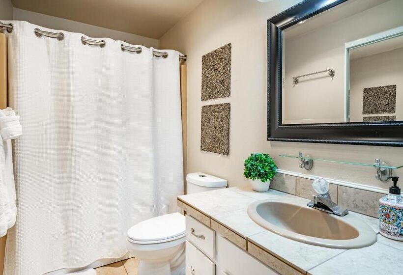 1 Bedroom Apartment Lake View, 206   Megan S Condo