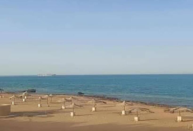 استودیو خانوادگی, استيلا دمارى