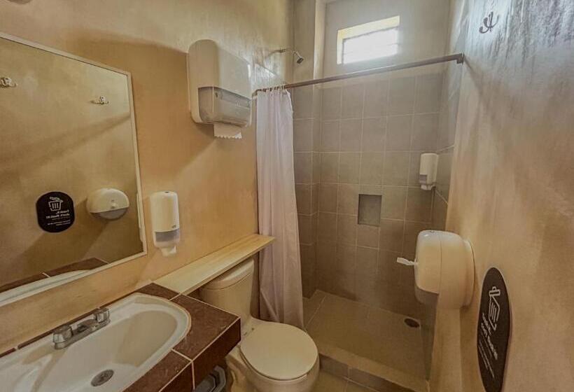 Кровать в Общей Комнате, Viajero Puerto Escondido Hostel