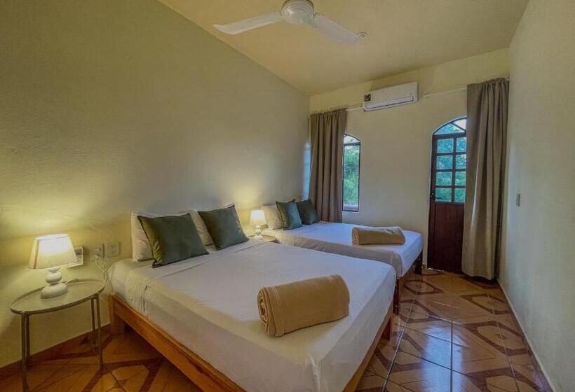 Номер Deluxe, Viajero Puerto Escondido Hostel