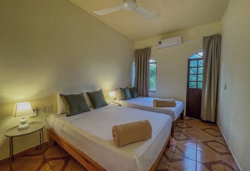Четырехместный Номер Deluxe, Viajero Puerto Escondido Hostel
