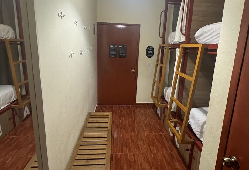Кровать в Общей Комнате, Viajero Puerto Escondido Hostel