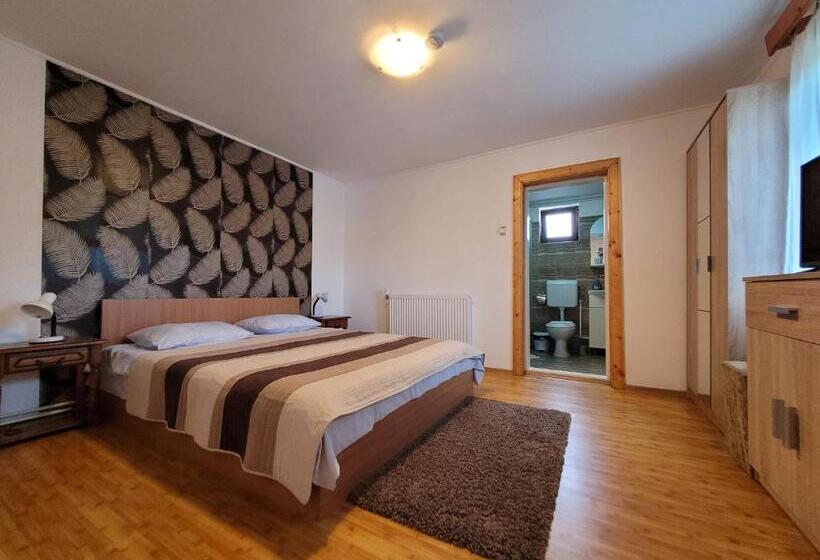 Апартаменты 2 Спальни, Pensiunea Casa Madalina
