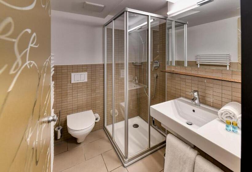Номер Superior Одноместный, Boutique Hotel Reiser