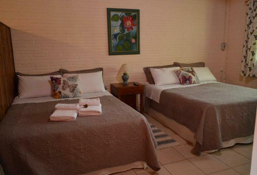 Pokój Deluxe, Oasis Bed And Breakfast