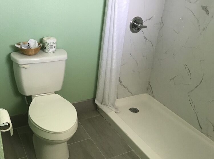 Номер Deluxe, Bonanza Motel Vega