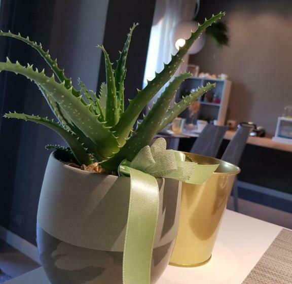 디럭스 룸, Art B&b Design