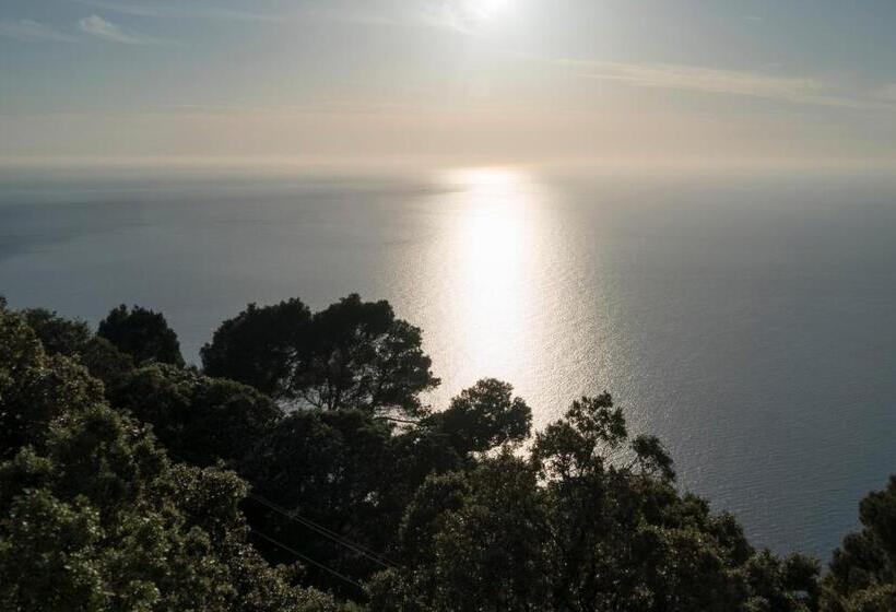Полулюкс, Bordoy Continental Valldemossa