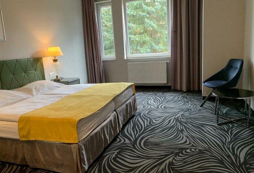 스탠다드 룸, Parkhotel Carlsbad Inn