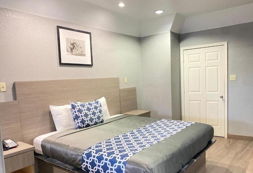 Suite Lit King, Island Suites Hobby Airport