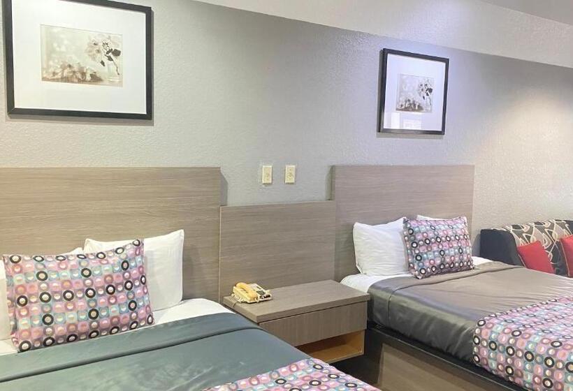 Suite, Island Suites Hobby Airport