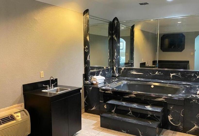 Suite Lit King, Island Suites Hobby Airport