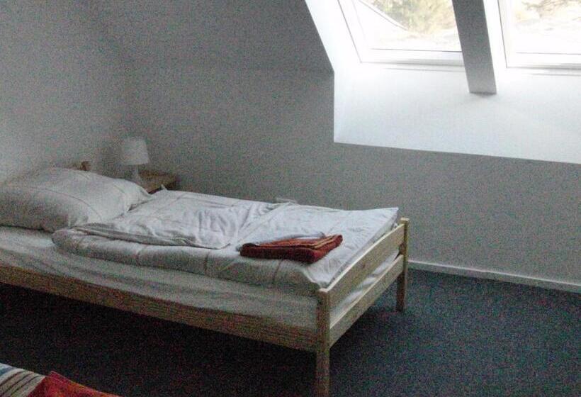 ルームシェアのワンベッド, Guesthouse Herriot