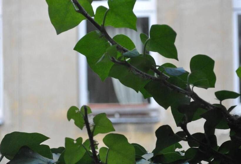 اتاق استاندارد, Freiraum Hostel Kreuzberg