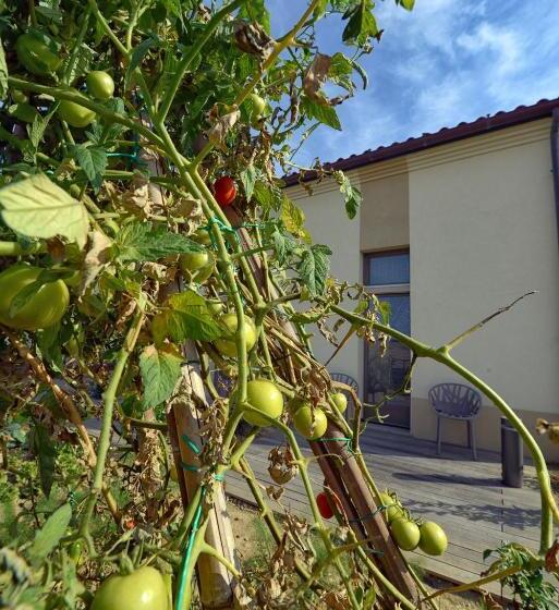 Люкс, Resort Il Gallo Senone