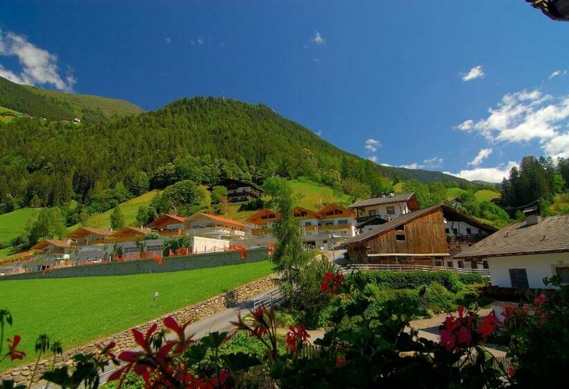 Номер Стандарт, Wildschütz