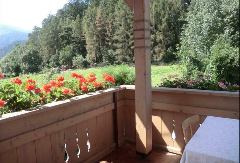 Номер Стандарт с Балконом, Burgblick