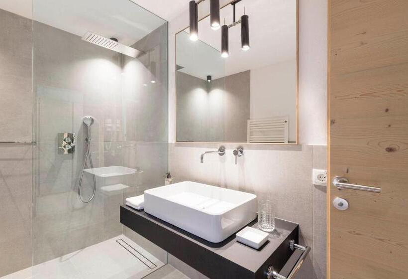 Апартаменты 1 Спальня, Saleghes Dolomites Residence